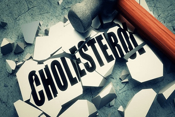 Fucoidan làm giảm cholesterol trong máu Fucoidan làm giảm cholesterol trong máu