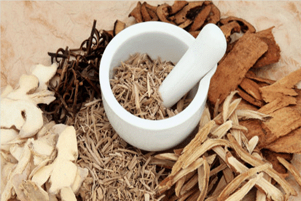Việc chữa ung thư bằng cây thuốc hay con thuốc không hề đơn giản như nhiều người vẫn nghĩ Việc chữa ung thư bằng cây thuốc hay con thuốc không hề đơn giản như nhiều người vẫn nghĩ